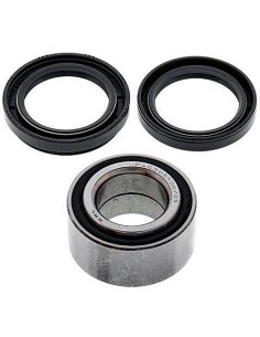 Kit de rodamientos rueda All Balls 251434