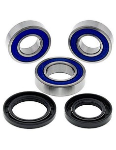 Kit de rodamientos rueda All Balls 251458