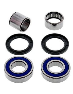 Kit de rodamientos rueda All Balls 251474