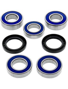 Kit de rodamientos rueda All Balls 251492