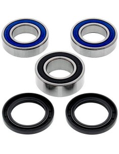 Kit de rodamientos rueda All Balls 251556