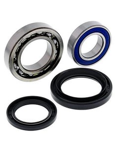 Kit de rodamientos rueda All Balls 251567