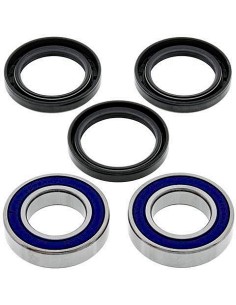 Kit de rodamientos rueda All Balls 251578