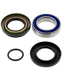 Kit de rodamientos rueda All Balls 251580