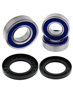 Kit de rodamientos rueda All Balls 251606