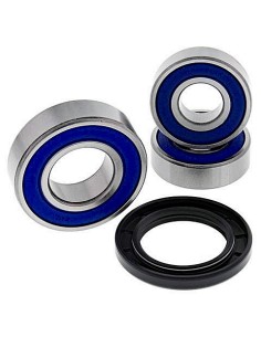 Kit de rodamientos rueda All Balls 251609