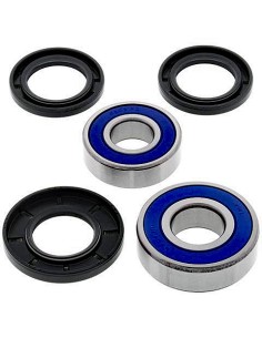 Kit de rodamientos rueda All Balls 251665