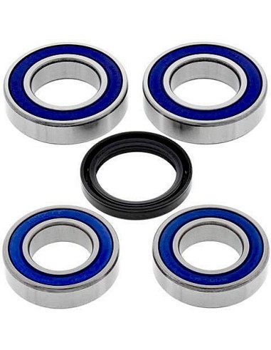 Kit de rodamientos rueda All Balls 251668