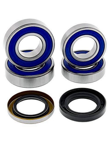 Kit de rodamientos rueda All Balls 251673