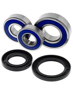 Kit de rodamientos rueda All Balls 251703