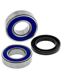Kit de rodamientos rueda All Balls 251719