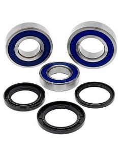 Kit de rodamientos rueda All Balls 251727