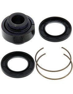 Kit de revisión amortiguador trasero All Balls 295