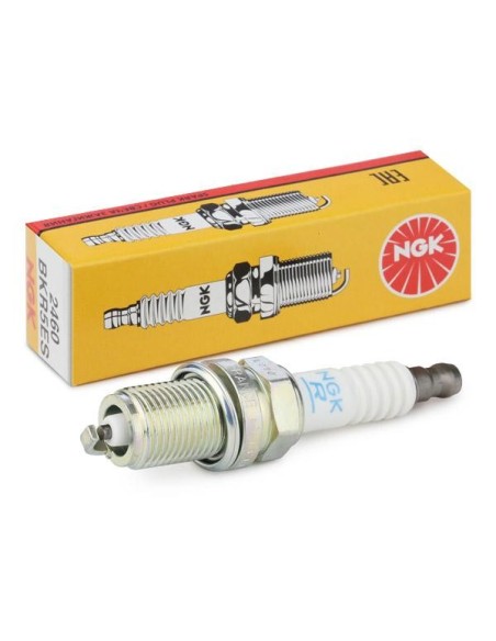 2460 Buja automvil Niquel