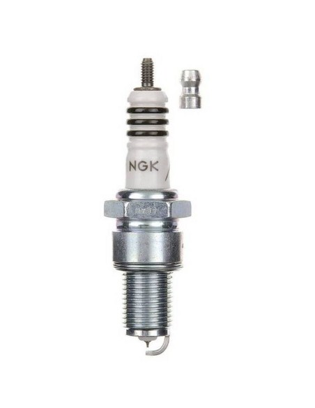 6597 Buja NGK  Iridio IX