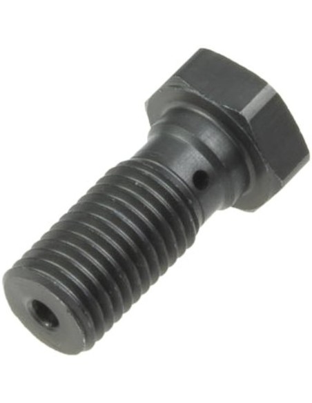 Tornillo latiguillo corto 10x125