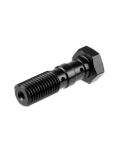 Tornillo banjo doble M10x1.25 TRW MCH951S
