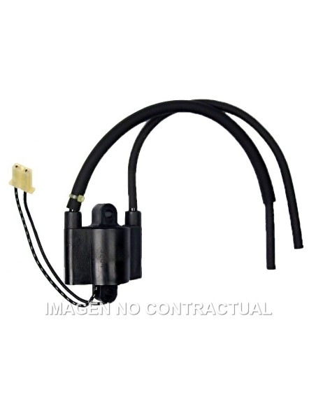 Bobina de Doble Encendido F6T5532