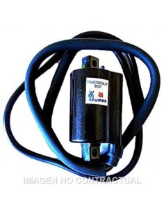 Bobina 12V - CC - 2,5 OHM - 2 Fastons - con cable 110 cm
