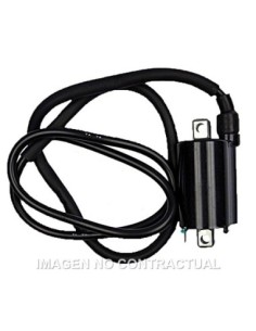 Bobina 12V - CC - 4,5 OHM - 2 Fastons - con cable 110 cm