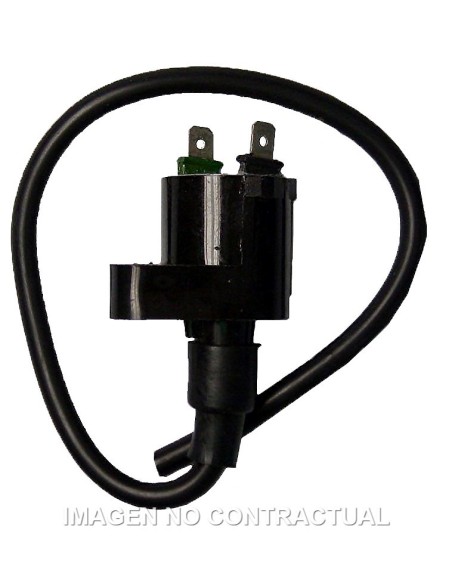 Bobina 12V 0,30 OHM - 2 Fastons