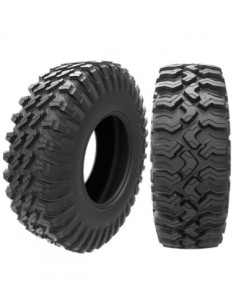 ARISUN 30X10 R15 69M BRUISER VT  AR30 8 PR NHS