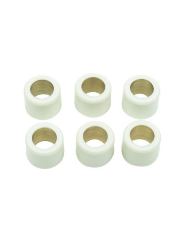 Kit de 6 rodillos de variador S41000030P017 | Motoauto