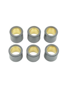 Kit de 6 rodillos de variador S41000030P041 | Motoauto