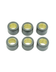 Kit de 6 rodillos de variador S41000030P051 | Motoauto