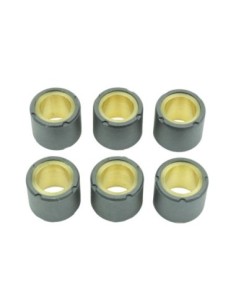 Kit de 6 rodillos de variador S41000030P052 | Motoauto