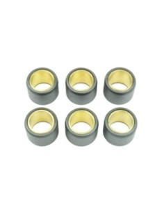 Kit de 6 rodillos de variador S41000030P063 | Motoauto