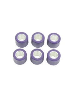 Kit de 6 rodillos de variador S41000030P092 | Motoauto