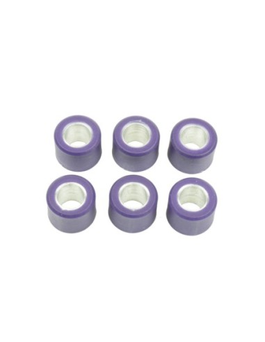 Kit de 6 rodillos de variador S41000030P092 | Motoauto