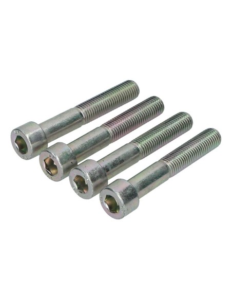 Kit de Tornillos para Pinzas Brembo P4 105998709 | Motoauto