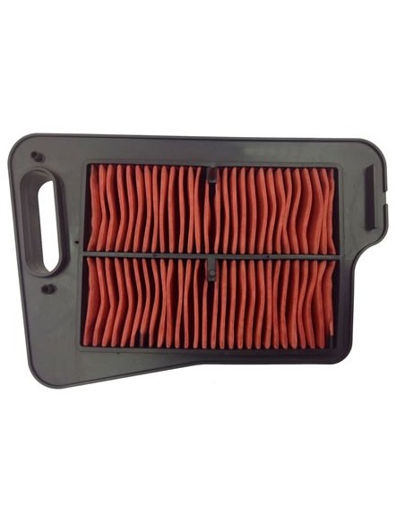 El filtro de aire Champion CAF2401 CAF2401 | Motoauto