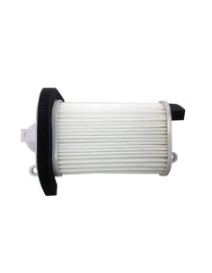 El filtro de aire Champion CAF3509 CAF3509 | Motoauto