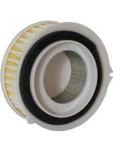 El filtro de aire Champion CAF3607 CAF3607 | Motoauto