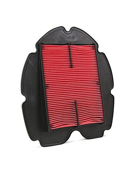 El filtro de aire Champion CAF3915 CAF3915 | Motoauto