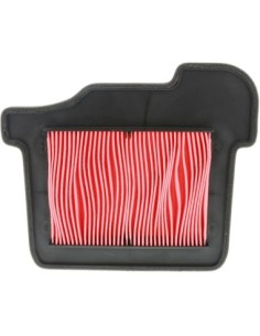 El filtro de aire Champion CAF3921 CAF3921 | Motoauto