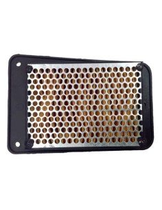 El filtro de aire Champion CAF4101WS CAF4101 | Motoauto