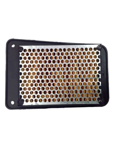 El filtro de aire Champion CAF4101WS CAF4101 | Motoauto