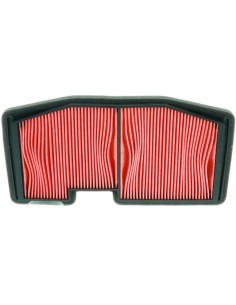 El filtro de aire Champion CAF5502 CAF5502 | Motoauto