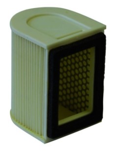 El filtro de aire Champion J310  301 J310 | Motoauto