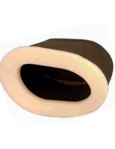El filtro de aire Champion Y314 Y314 | Motoauto