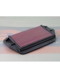 DNA AIR FILTER FOR HONDA CBR 1100 XX P-H11S99-01 | Motoauto