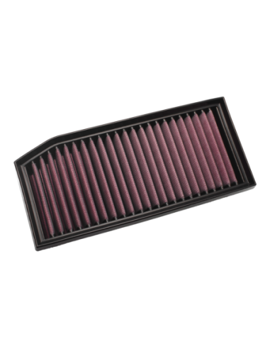 Filtro de aire DNA para RENAULT P-RN12H23-01 | Motoauto