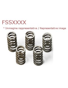 Muelles embrague Ferodo Moto FSS0116 | Motoauto