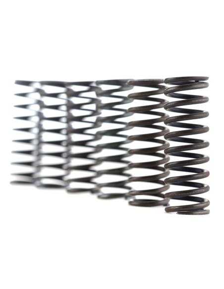Muelles embrague Ferodo Moto FSS0202 | Motoauto