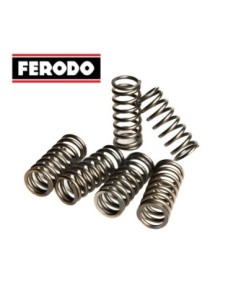Muelles embrague Ferodo Moto FSS0304 | Motoauto