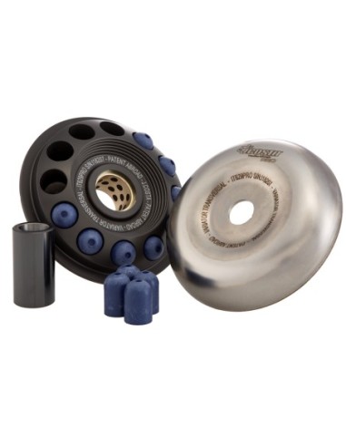 Variator for Piaggio 300cc IT629PRO | Motoauto